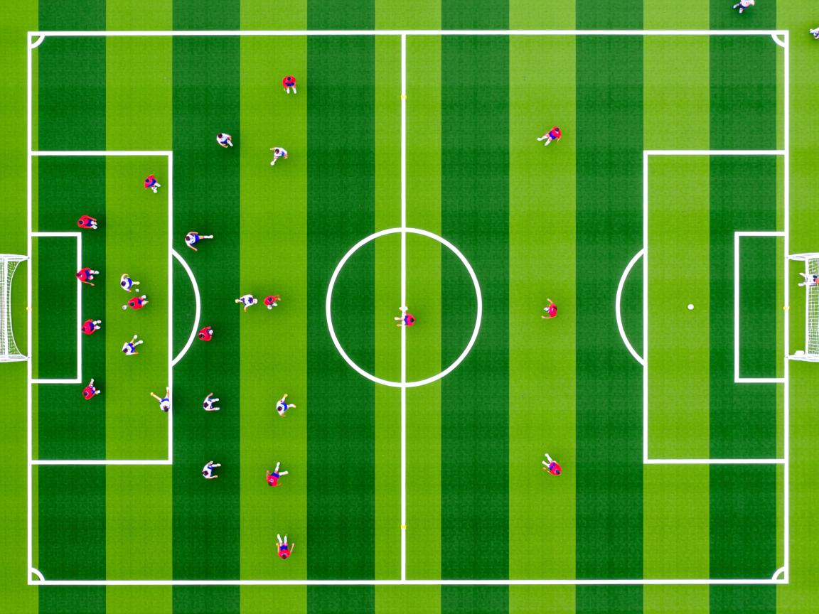 米兰体育报-外教引进成效为何始终不明显，外教引入政策  第2张